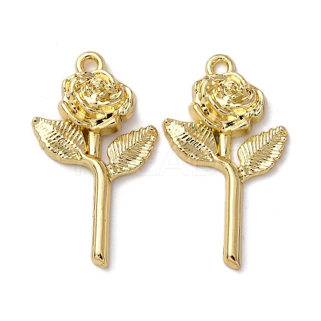 Alloy Pendants FIND-Z095-12G-1