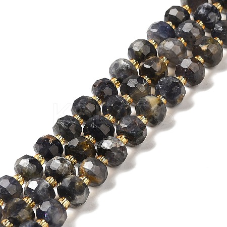 Natural Iolite Beads Strands G-P508-A12-01-1