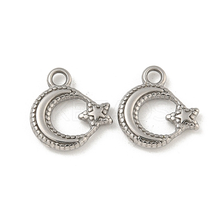 Non-Tarnish 304 Stainless Steel Charms STAS-N103-124P-1