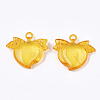 Transparent Acrylic Pendants TACR-S133-039-2