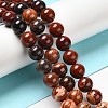 Natural Red Snakeskin Jasper Beads Strands G-H298-A02-04-2