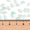 Frosted Glass Seed Beads SEED-N008-05F-4