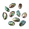 Natural Paua Shell Pendants SSHEL-S280-01A-1
