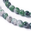 Natural Persian Jade Beads Strands G-E531-C-20-3