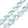 Transparent Glass Beads Strands GLAA-H038-03C-1