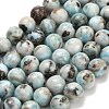 Natural Larimar Beads Strands G-L642-B19-10mm-2