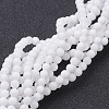 Natural White Jade Beads Strands GSR10mmC067-4