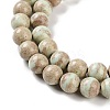 Natural Rainbow Alashan Agate Beads Strands G-NH0022-A08-02-4