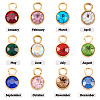 24Pcs 12 Colors Glass Rhinestone Charms STAS-TA0002-68-3