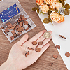 20 Pairs 10 Style Walnut Wood Stud Earring Findings MAK-SC0001-20-3
