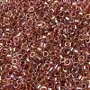 Glass Seed Beads X-SEED-S042-13A-17-3