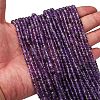 Natural Amethyst Beads Strands G-N342-24-01-2