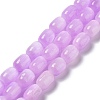 Natural Selenite Beads Strands G-F750-01-1