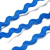 10 Strands Polyester Polyester Wavy Fringe Trim Ribbon OCOR-XCP0001-89-2