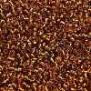 12/0 Glass Seed Beads X-SEED-A005-2mm-22C-3
