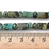 Natural African Turquoise(Jasper) Beads Strands G-L585-B03-01-5