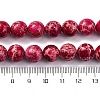 Dyed Natural Regalite/Imperial Jasper/Sea Sediment Jasper Beads Strands G-B124-C03-03-3