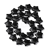 Natural Obsidian Beads Strands G-K359-E13-5