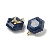 Dyed Natural Lapis Lazuli Faceted Pendants G-P585-01G-07-2