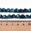 Dyed Natural Sesame Jasper Beads Strands G-T139-8mm-47H-5
