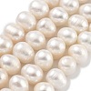 Natural Cultured Freshwater Pearl Beads Strands PEAR-C003-19C-2