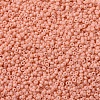 MIYUKI Round Rocailles Beads X-SEED-G007-RR4461-3