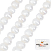 1 Strand Grade AA Natural Cultured Freshwater Pearl Beads Strands PEAR-BBC0001-15-1