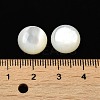 Natural White Shell Cabochons X-SSHEL-M022-01D-3