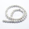 Natural Magnesite Beads Strands X-G-I199-27-10mm-2