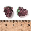 Handmade Lampwork Beads X-LAMP-WH0012-02C-3