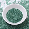 MIYUKI Delica Beads SEED-X0054-DB0060-2