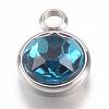 304 Stainless Steel Glass Rhinestone Charms STAS-G082-04-1