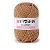 4-Ply Polyester & Acrylic Fiber Yarn for Tufting Gun Rugs PW-WG2A0C2-17-1-1