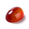 Oval Natural Carnelian Cabochons G-K020-20x15mm-05-4