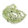 Natural Prehnite Beads Strands G-P332-41A-2