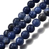 Natural Sodalite Round Bead Strands G-P072-27-6mm-2