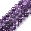 Gemstone Beads Strands G-S024-2