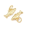 Brass Pendants KK-Z132-03G-01-2