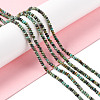 Natural African Turquoise(Jasper) Beads Strands LS-G-F717-02A-2
