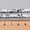 Natural Rainbow Moonstone Beads Strands G-T141-66-5