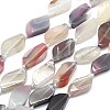 Natural Botswana Agate Beads Strands G-G106-F02-01-1