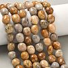 Natural Fossil Coral Beads Strands G-C038-02T-8