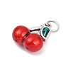 Fine Silver Red Enamel Fruit Pendants STER-F060-01AS-02-2