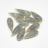 Natural Labradorite Pendants LS-G-Q494-55C-1
