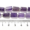 Natural Amethyst Beads Strands G-N327-06-18-5