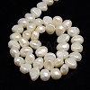 Natural Cultured Freshwater Pearl Beads Strands PEAR-L001-C-01-3