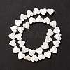 Natural Trochid Shell/Trochus Shell Beads SSHEL-O001-27C-2