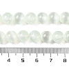 Natural Selenite Beads Strands G-C142-01A-06-5