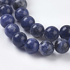 Natural Sodalite Beads Strands X-G-E110-6mm-3-3