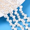 Natural Cultured Freshwater Pearl Beads Strands PEAR-T006-14-1
